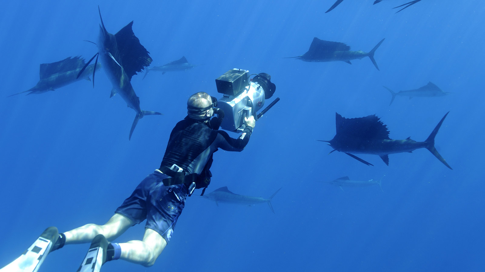 Omega Planet Ocean endeavors.