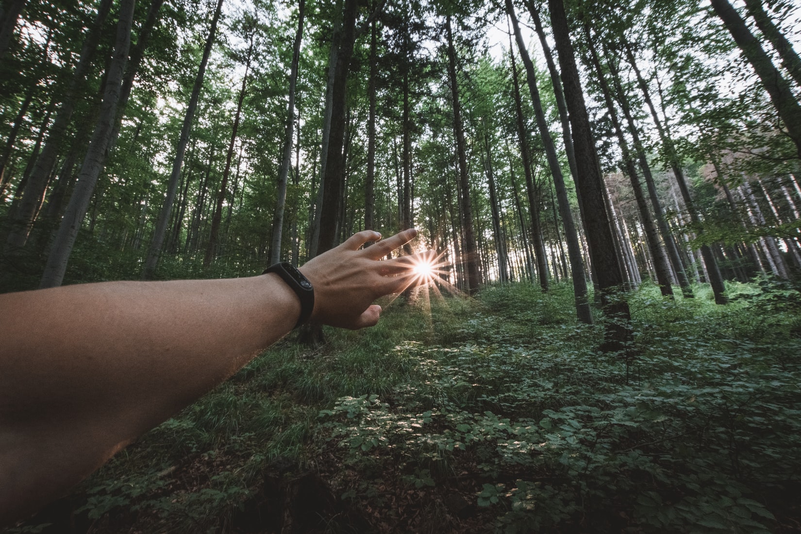 6 Best Field Watches for Men in 2021