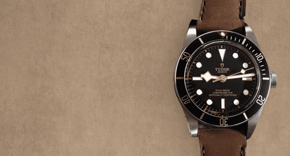 Tudor Bronze Guide 2026: Patina, Black Bay Models & Smart Buying Advice