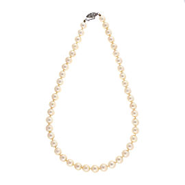 14K White Gold with Pearl Necklace