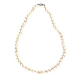14K White Gold with Pearl Necklace
