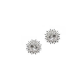 Sterling Silver White Topaz Earrings