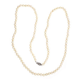14k White Gold Akoya Cultured Pearl Necklace