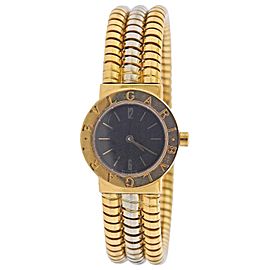 Bulgari Tubogas Watch Bracelet BB 23 2T