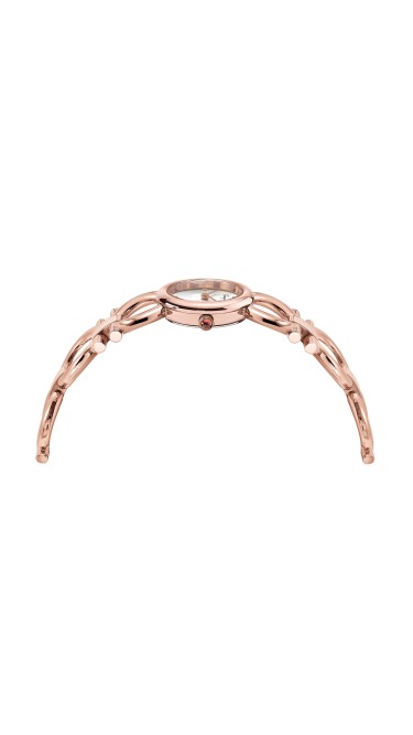 Ferragamo Silver 22mm 