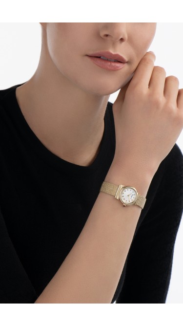 Ferragamo Silver 22mm 