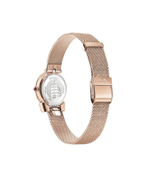 Ferragamo Silver 22mm 