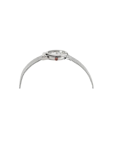 Ferragamo Silver 22mm 