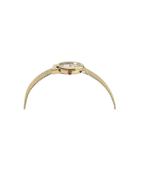 Ferragamo Silver 22mm 