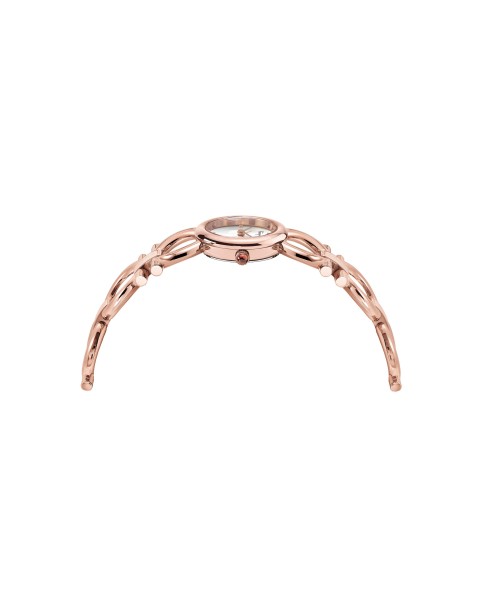Ferragamo Silver 22mm 