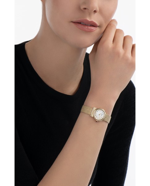 Ferragamo Silver 22mm 