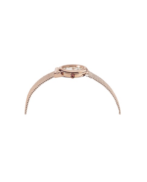 Ferragamo Silver 22mm 