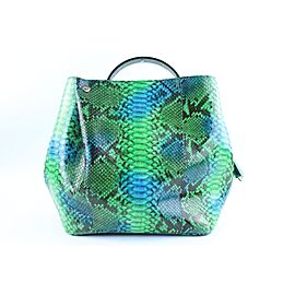 Dior Green Python Diorific Hobo 2way Bag 3DR01